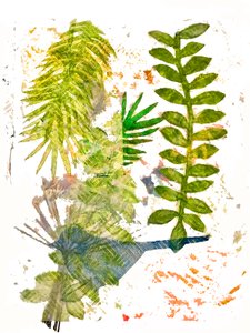 Botanical Jungle